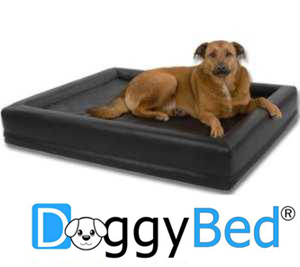 DoggyBed Aqua Style