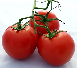 Tomaten sind gesund